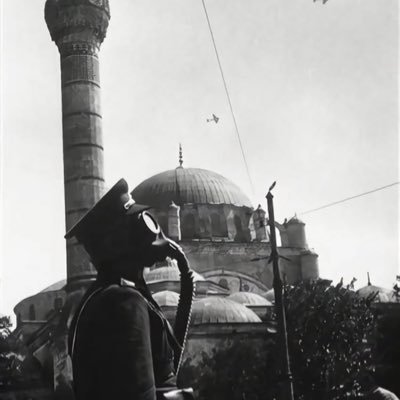 aslankral911's profile picture. 