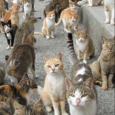 Princessbrakz's profile picture. 