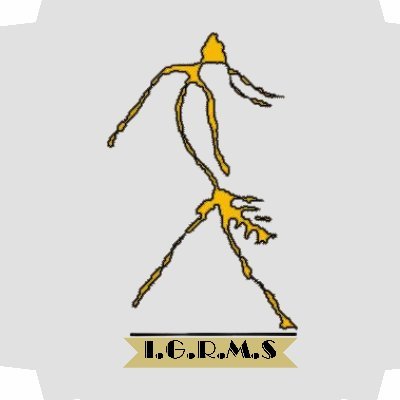 igrms's profile picture. IGRMS- National Museum of Mankind