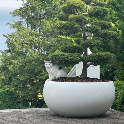 _thesunflower01's profile picture. ขอให้พรทุกข้อที่คุณขอเป็นจริง และคุณจะถูกรักเสมอ 💜 all for ten / waiting for SO10³