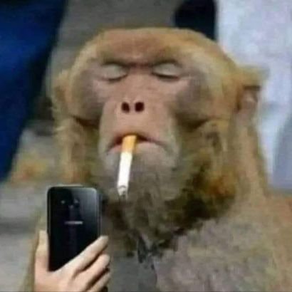 sulinyembez's profile picture. 