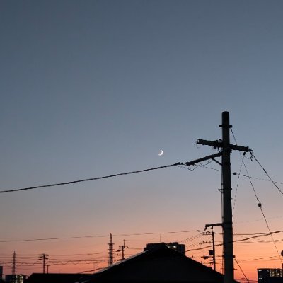 c3_qou's profile picture. 