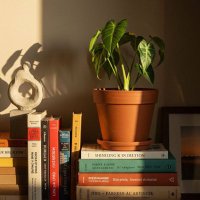 شآدن القرشي 🇸🇦 (@9vv9c) 's Twitter Profile