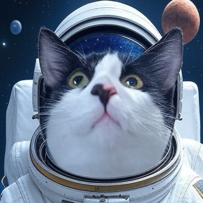 NirPochter's profile picture. Co-founder and CMO, @ltx_model @LTXStudio