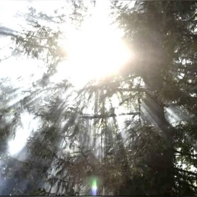 restinbass34's profile picture. funny how this shit just flipped like a quarter