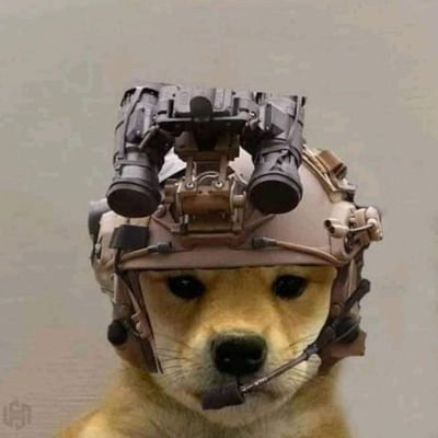 OrientalAlpha98's profile picture. 