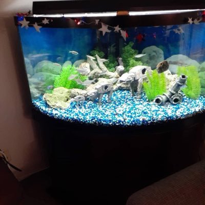 AFTEREFFECtcpn's profile picture. UNFILTERED