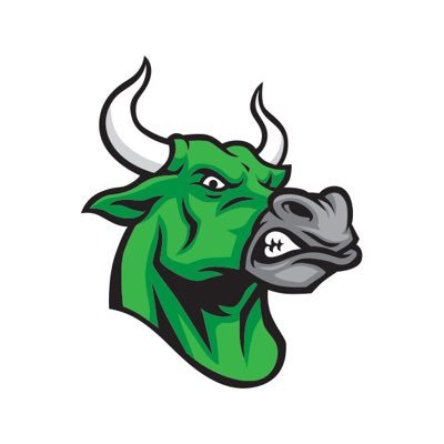 teambullish's profile picture. Creating Profitable Traders Worldwide.