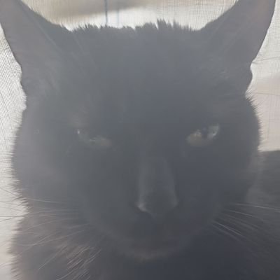 leni_iscar's profile picture. GoMining: 5% descuento en tu primer minero: LMCERUZ