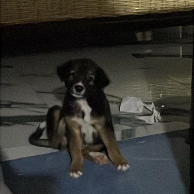 Gusnn161837's profile picture. 