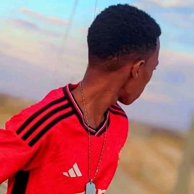 lang69800's profile picture. 