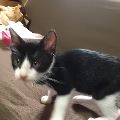 c9M9i8yUUG67448's profile picture. 