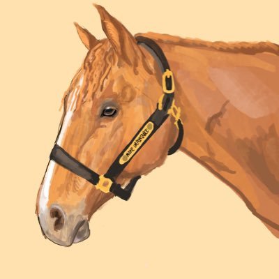 lunarandsunny's profile picture. I post my retired racehorses Lunar (Moon Rising: Tosen Stardom x Blood Moon) & Sunny (More Importance: Spieth x Of Importance) ! 🐎 | AUS 🇦🇺 🐴