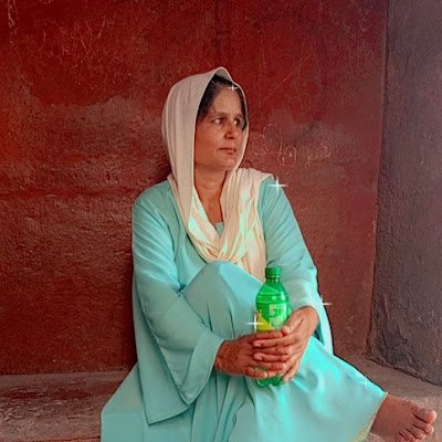 AliRamzan294342's profile picture. 