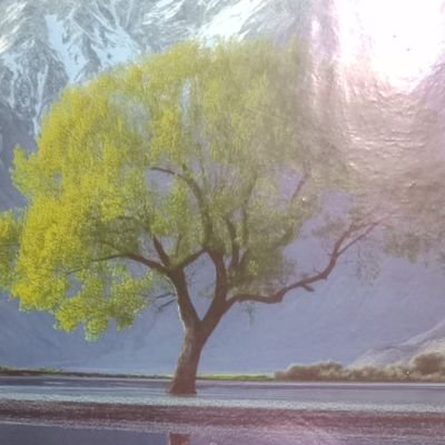 Raykid_Tonny's profile picture. Napenda matakoooo