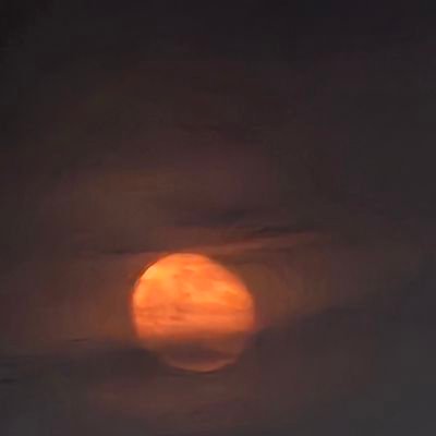 joob1060047's profile picture. 