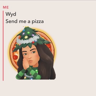 sarahsmiles419's profile picture. 🐻🐻‍❄️