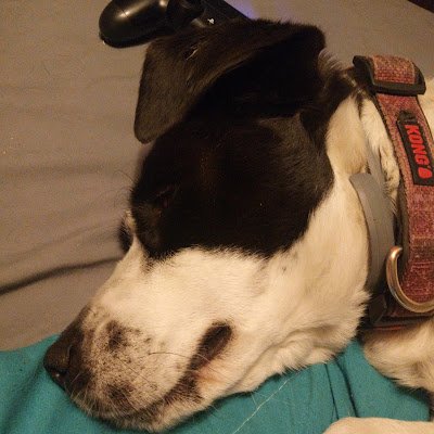 thatmeanbaker97's profile picture. 