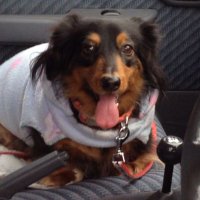 ぬらりぴょん (@himajin2507) 's Twitter Profile Photo