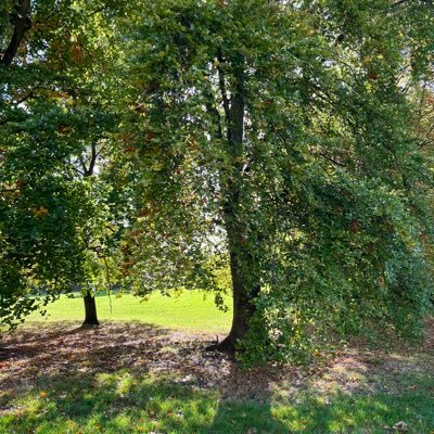 ElysiumFields10's profile picture. #RenaissanceWoman ⚕️Theatres A&E, ER Palliative Care, Sharing Stuff, And you? 📸 loaned, No DM