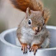 Ai_maki315's profile picture. AIマーケで主婦の makiです。 副業迷子を救う人。 AI×マーケで【最短で稼ぐ導線】をつくるのが得意。 主婦でも月10万の仕組み→これ全部AIで実現。 可愛いけど甘くない。“本質だけ”伝えます。 → 副業のスタートをラクにしたい人へ 👉🔗 https://t.co/oMeht5QhOf