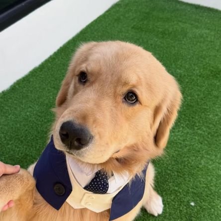 mmilkjira_ppw's profile picture. 𝗜 𝘀𝘂𝗽𝗽𝗼𝗿𝘁 𝗧𝗿𝗶𝗽𝗽𝗹𝗲 𝗣 𝗳𝗮𝗺𝗶𝗹𝘆 : ᴘᴏɴᴅᴘʜᴜᴡɪɴ & ᴘᴇʀᴍᴘᴏᴏɴ (พี่สาวของปอนด์ภูวินทร์ แต่เป็นอุนย่าของพี่เพิ่มพูน)