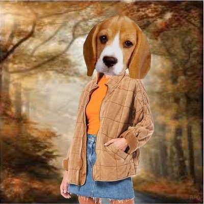 Bea_Bells's profile picture. Like walkies and sniffing garden flowers