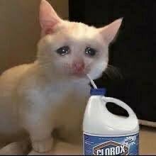 joker_8_Jj's profile picture. 비상대피소