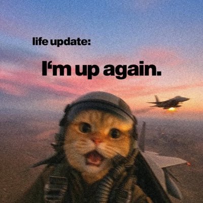 investogram24's profile picture. Future billionaire