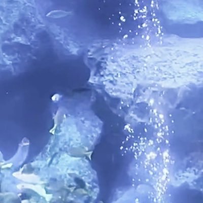 WUDXaHHkvl42725's profile picture. 