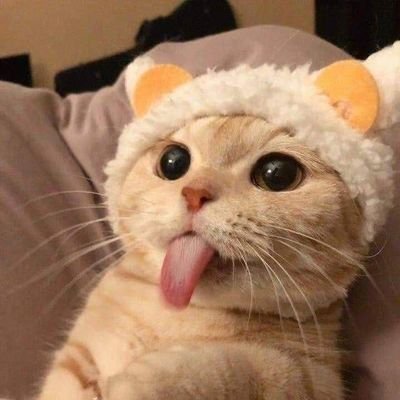 BAIFERN0616's profile picture. 