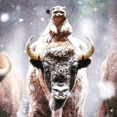 JayarOwen000's profile picture. cogito, ergo sum 🤔

I am not a Robot 🤖 
could be an Alien 👽
NC is the Greatest State in all the US of A.
have a Blessed Day 🙏🏼