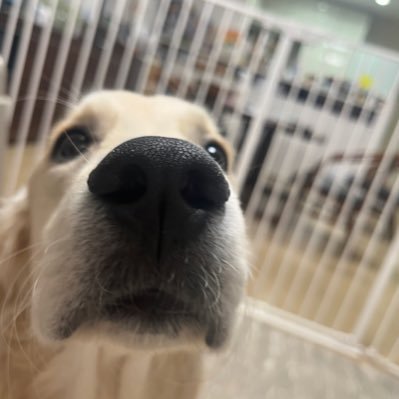 iwaiwaaaiwaaai's profile picture. clef30期