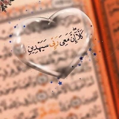 HayatElroh0's profile picture. هَلْ يَنسَاكَ وَيَغفلُ عَنكَ وَهوَّ الّذِي قَالَ :

﴿وَنَحْنُ أَقْرَبُ إِلَيْهِ مِنْ حَبْلِ الْوَرِيدِ﴾ 🫀💚🤍