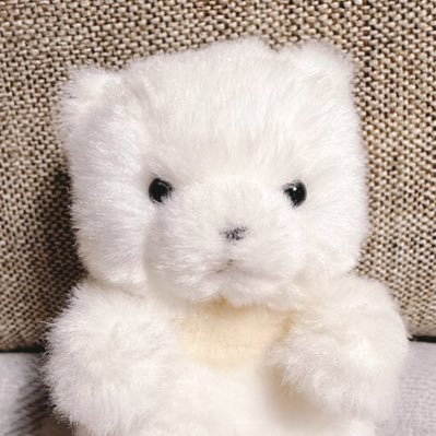 omochi__mfmf's profile picture. ちょっぴり怒り顔の"おもち"とゆかいな仲間たちの日常2025.11.26〜🐻‍❄️🪿