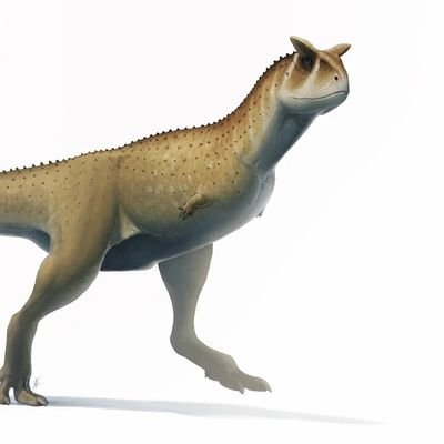 carnotaurus001's profile picture. I like dinosaurs and trans-woman