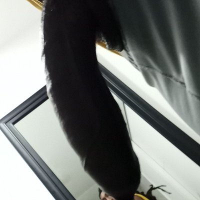 KruzianChurchil's profile picture. Born & Raised In Tha Virgin🇻🇮Islands (St.Croix)