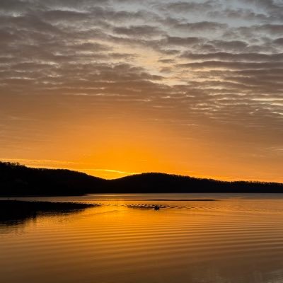 Thirdwavelife's profile picture. 