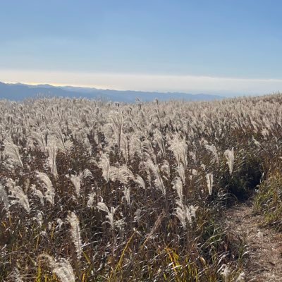 SannBobby's profile picture. ねるむ💭🎀