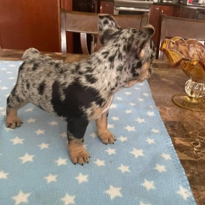 unkownuser1700's profile picture. 