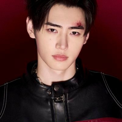 sunghoor's profile picture. Hypenlage’s ice prince in all seasons (2002)