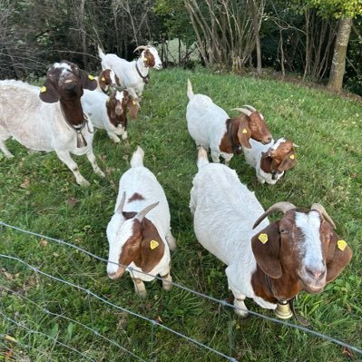 RichardnotUK's profile picture. Old and fed up with corrupt, scamming politicians.