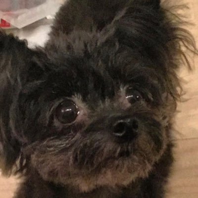 22jmjmj's profile picture. SOFI.CRDO で人生を変える。