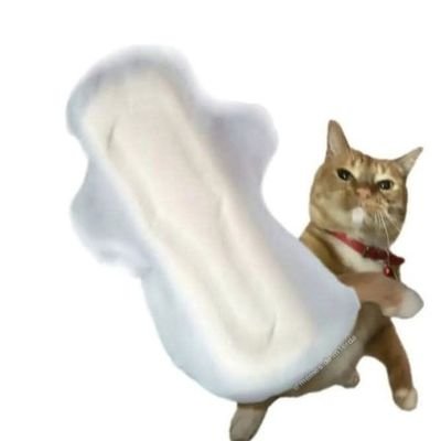 MK4458775586691's profile picture. ฉันรักจิ้น ฉันขาดจิ้นไม่ได้ #lingorm