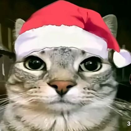 vexsi75's profile picture. 59pr