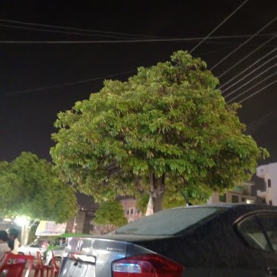 extrabbu7's profile picture. 