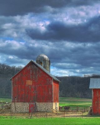 Barns971's profile picture. 