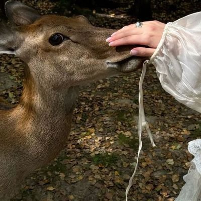 mar_hwitat's profile picture. مُسلِمة عربيّة أردنيَّة، متذوّقةٌ للأدبِ شِعْرًا ونَثْرًا، طالِبة في كُليّة الآداب، ولا وصف أحبُّ إليَّ من هذا.