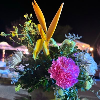 9ZmqheinQ134285's profile picture. 