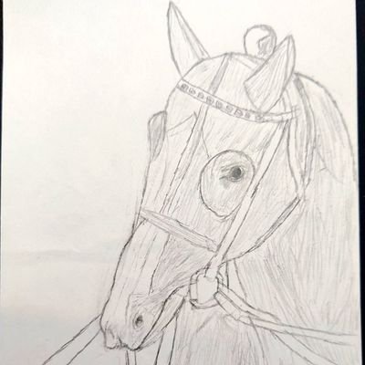 Suzuka903_FA24D's profile picture. ありがとう、ジェンティルドンナ。どうか安らかに。※2026年1月12日までこの仕様です。